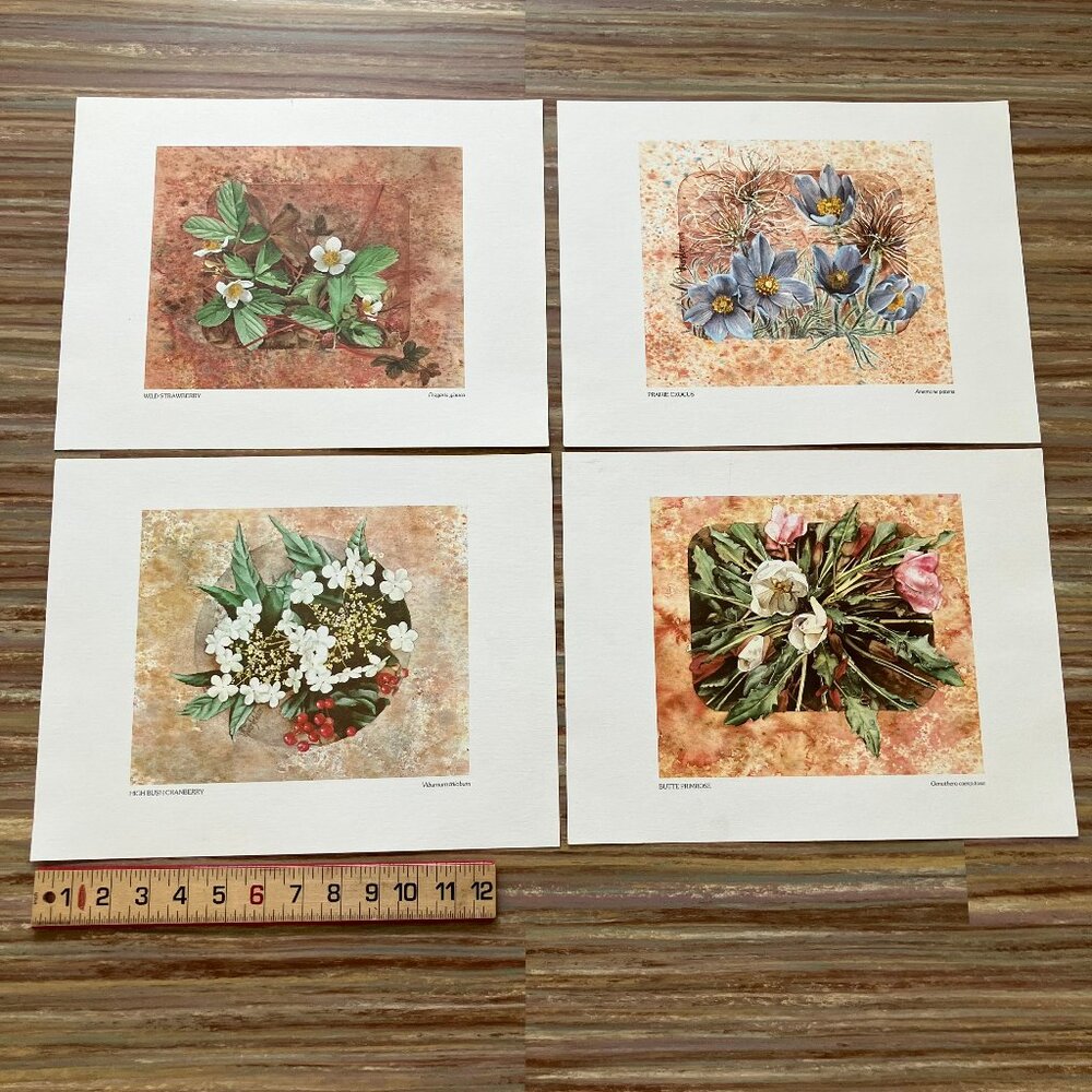 Wildflower Art Print Vivian Thierfelder Set of 4 Crocus Strawberry Primrose